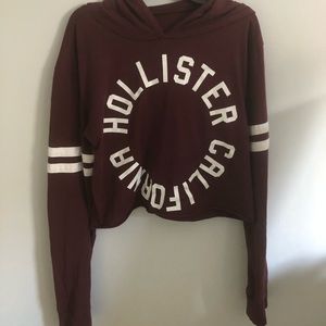 hollister long sleeve tee with hood
